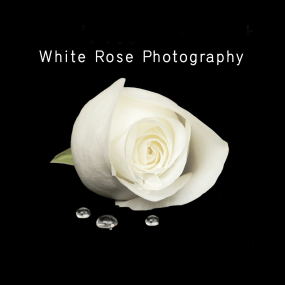 logo whiterosephotography